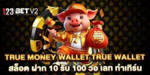 true money wallet true wallet สล็อต ฝาก 10 รับ 100 วอ เลท ทำเทิร์น
